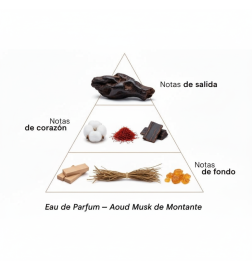 AOUD MUSK - Montale Paris Kostenlose Beratung und Sendungen!