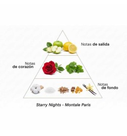 Интенсивные звездные ночи 100 мл - Montale Paris Бесплатные советы и поставки!