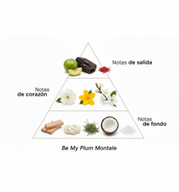 Be My Plum 100 ml - Montale ¡Asesoría y Envíos Gratis!