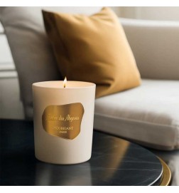 Ambre des abysesses Kerze 195 g - Houbigant Paris