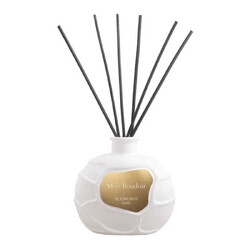 Ambre Des Abysses Diffuseur - Houbigant Paris