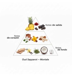 Oud sappirot 100 ml - Montale Paris Consigli e spedizioni gratuiti!