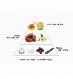 Arábios Musk 100 ml - Montale Paris Aconselhamento gratuito e remessas!