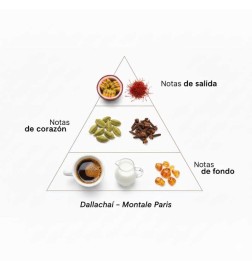 Dallachaï - Montale Paris | Parfümerie-Laura - Kostenloser Versand