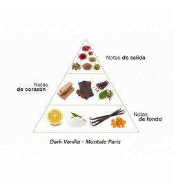 Vanilla scura - Montale Paris
