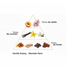 Vanille-extasy 100 ml - Montale Paris Gratis advies en zendingen!