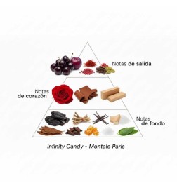 Infinity - Montale Paris ¡Asesoría y Envíos Gratis!