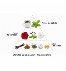 Redez-vous milan 100 мл - Montale Paris Бесплатные советы и поставки!