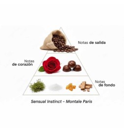 Instinto sensual 100ml - Montale Paris Aconselhamento gratuito e remessas!