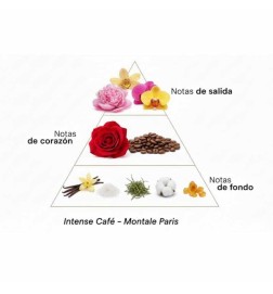 Intense kaffe 100 ml - Montale Paris Gratis råd og forsendelser!