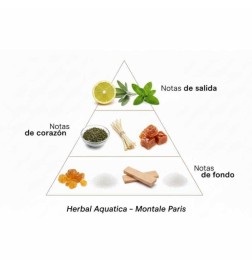 Aquatica a base di erbe - Montale Paris Consigli e spedizioni gratuiti!