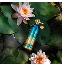 草药aquatica 100ml  -  Montale Paris 免费咨询和出货量！