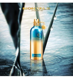 Травяной Aquatica 100 мл - Montale Paris Бесплатные советы и поставки!