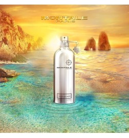 Soleil de Capri 100 мл - Montale Paris Бесплатные советы и поставки!