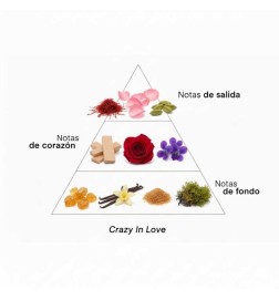 Crazy in Love - Montale Paris