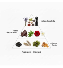 Arabieren - Montale Paris | Parfumerie Laura - Gratis verzending