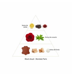 Aoud nero - Montale Paris | Profumery Laura - Spedizione gratuita