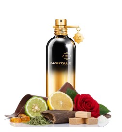 Aoud Night - Montale Paris