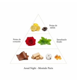 Aoud Night - Montale Paris