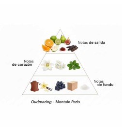Oudmazing 100 ml - Montale Paris Free advice and shipments!