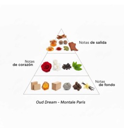 梦想100毫升 -  Montale Paris 免费咨询和出货量！