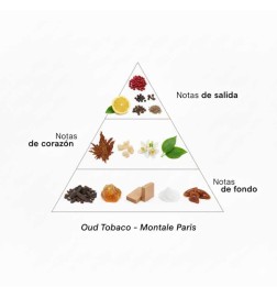 Oud Tobacco - Montale Paris