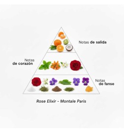 Rosa elixir 100 ml - Montale Paris Aconselhamento gratuito e remessas!