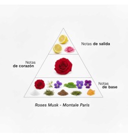 Rose Musk - Montale Paris | Profumery Laura - Spedizione gratuita