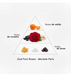 Oud Fool Roses - Montale Paris ¡Asesoría y Envíos Gratis!