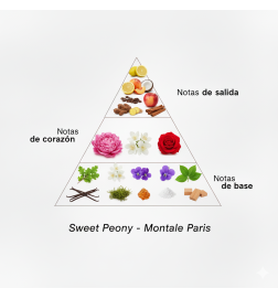 Sød peony - Montale Paris