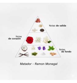 Matador - Ramon Monegal