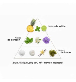 Ibiza allightlong 500 ml - Ramon Monegal