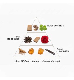 Soul Oud Extrait de Parfum - Ramon Monegal Kostenloser Versand!