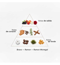 Bravo EDP - Ramon Monegal Kostenloser Versand!