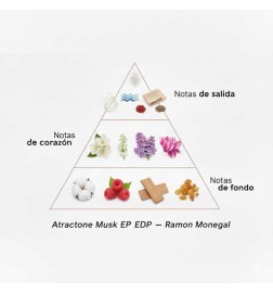 Atractone Musk EDP - Ramon Monegal ¡Envíos Gratis!