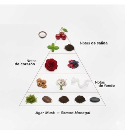 Agar Moschus EDP - Ramon Monegal Kostenloser Versand!