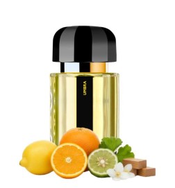 Umbra EDP - Ramon Monegal Spedizione gratuita!