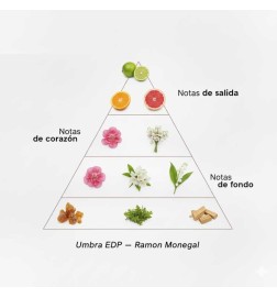 Umbra EDP - Ramon Monegal Spedizione gratuita!