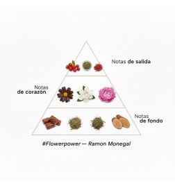 Blumentopf Ibiza EDV 100 ml - Ramon Monegal