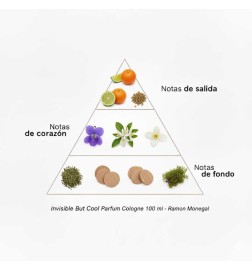 Invisible mais cool Parfum Cologne 100 ml - Ramon Monegal