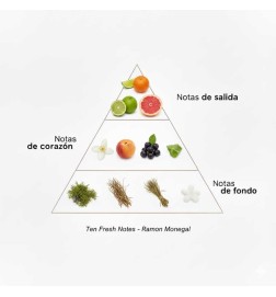 Ten Fresh Notes Parfum Cologne 100 ml - Ramon Monegal ¡Asesoría y Envíos Gratis!