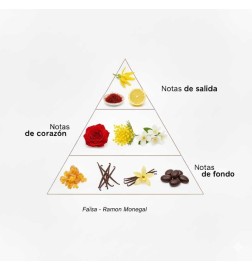 FAISA EDP - Ramon Monegal