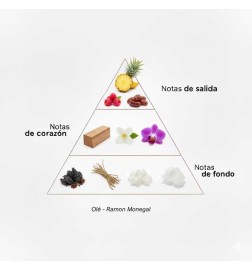 OLÉEDP  -  Ramon Monegal