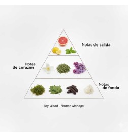 干木edp  -  Ramon Monegal 免费送货！