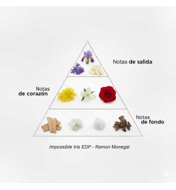 虹膜虹膜EDP  -  Ramon Monegal 免费送货！