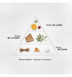 Rosso RADCE - Giardini di Toscana Spedizione gratuita!