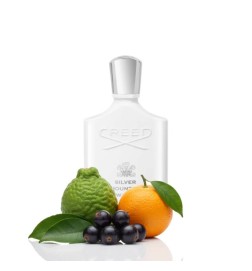 Acqua di montagna d'argento - Creed Consigli e spedizioni gratuiti!