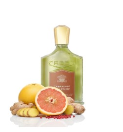 塔巴马姆米莉 -  Creed 免费咨询和出货量！