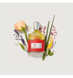 维京 -  Creed 免费咨询和出货量！