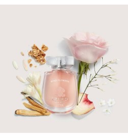 Windbloemen - Creed Gratis advies en zendingen!